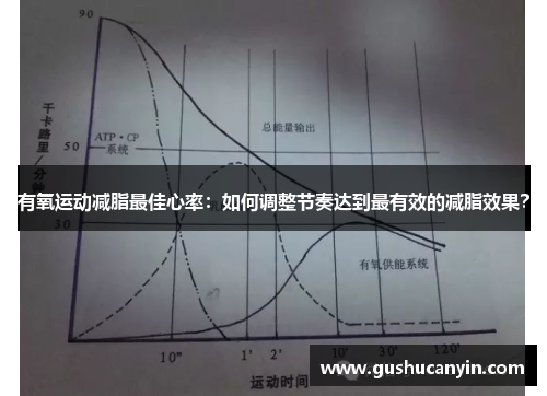 有氧运动减脂最佳心率：如何调整节奏达到最有效的减脂效果？
