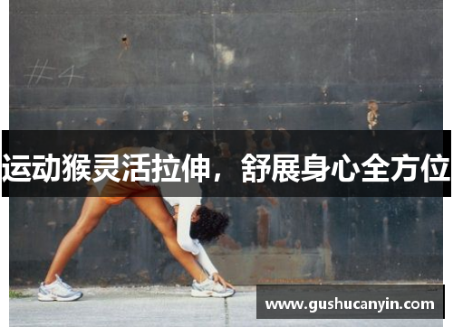 运动猴灵活拉伸，舒展身心全方位